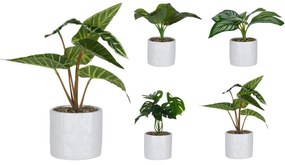 Φυτό Τεχνητό ArteLibre 25cm Σε Λευκό Κεραμικό Γλαστράκι 11x11x10cm Σε 4 Ποικιλίες