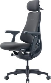 Εργονομική καρέκλα LiberNovo Omni GEN 48 cm (Γραφίτης)