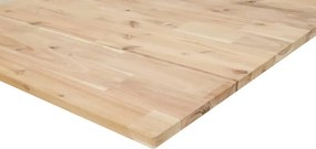 vidaXL Επιφάνεια Νιπτήρα Μπάνιου Ακατέργαστη 60x40x2 εκ. Μασίφ Ακακία