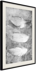 Αφίσα - Delicate Feathers - 20x30 - Μαύρο - Με πασπαρτού