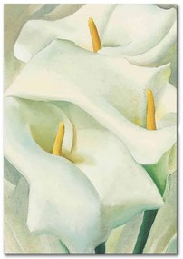 Πίνακας Καμβάς 249CVT1565 70x100cm Multi Wallity Κάθετοι Wood, Canvas
