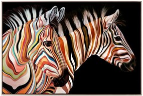 Πίνακας Color Zebra