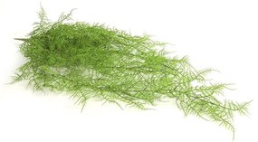 Διακοσμητικό Λουλούδι Monilophyta 013.780851 105cm Green Plastic