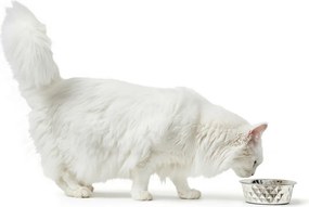 Ταΐστρα σκύλων Hunter Σιλικόνη Ανοξείδωτο ατσάλι 550 ml