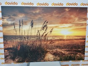 Εικόνα ηλιοβασίλεμα στην παραλία - 60x40
