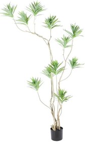 Supergreens Τεχνητό Δέντρο Δράκαινα Πράσινο 180 εκ.