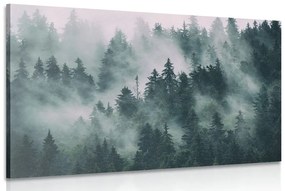 Εικόνα βουνά στην ομίχλη - 60x40