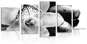 Εικόνα 5 τμημάτων εξωτική ορχιδέα σε ασπρόμαυρο - 100x50