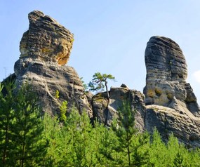 Φωτογραφία Sandstone rock in Hruboskalsko Nature Reserve,, vencavolrab, (40 x 35 cm)