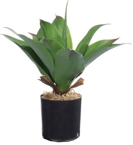 Τεχνητό Φυτό Δράκαινα Dragon 5111-6 30cm Green Supergreens Polyethylene