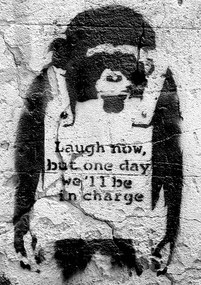 Αφίσα Banksy street art - chimp, (42 x 59 cm)