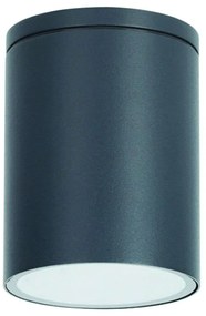 Φωτιστικό Οροφής - Σποτ LG2301GU10G Φ9x11cm 1xGU10 35W IP65 Dark Grey Aca Aluminium, Glass