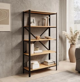 Βιβλιοθήκη Renev-Drus