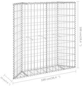 Συρματοκιβώτιο-Γλάστρα Υπ. Τραπέζιο 100x20x100 εκ Γαλβ. Χάλυβας - Ασήμι