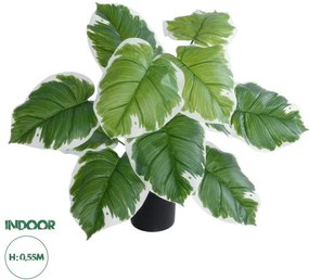 Διακοσμητικό Φυτό Λευκή Χόστα Artificial Garden 20931 Globostar-20931-Λευκό 20931