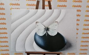 Εικόνα λευκής πεταλούδας σε μαύρη πέτρα - 60x40