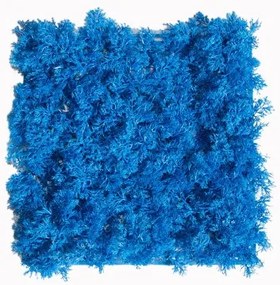 Τεχνητή Φυλλωσιά Super Moss 25x25 εκ. 8911-7 Supergreens-8911-7-Μπλε 8911-7