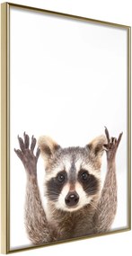 Αφίσα - Funny Racoon - 30x45 - Χρυσό - Χωρίς πασπαρτού