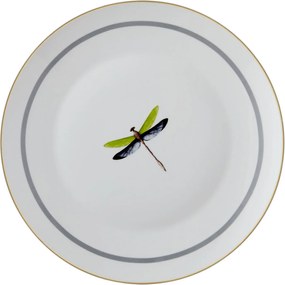 Service Plate Set (6 Pieces) DNR0060 Multicolor