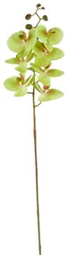 Κλαδί Ορχιδέας Natural Touch Πράσινο 105εκ. MSA 20-31-939
