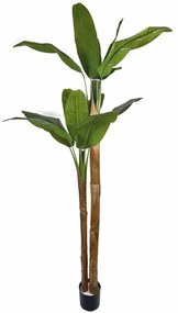 Τεχνητό Δέντρο Μπανανιά Musa Arbor 4411-6 200cm Green-Brown Supergreens Πλαστικό, Ύφασμα