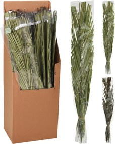 Φύλλα  Khajur 95-100cm Δεμένα Σε Χάρτινη Θήκη 36Τμχ Σε 3 Ποικιλίες