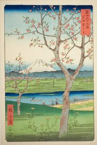 Αναπαραγωγή Fuji, Ando or Utagawa Hiroshige