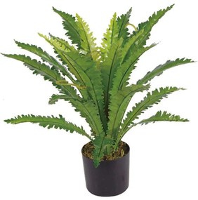 Τεχνητό Φυτό Ασπλήνιο Antiquum 9860-6 50x50x50cm Green Supergreens Πολυαιθυλένιο