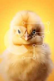 Σετ των 2 Intra Συλλεκτικό Ξύλινο Παζλ Plywood 4mm - Χνουδωτό κίτρινο νεοσσό σε κίτρινο φόντο Σε Ξύλινο Κουτί - Διαστάσεις: 10x10 cm – 25 κομμάτια