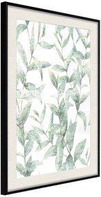 Αφίσα - Sheer Batiste - 20x30 - Μαύρο - Με πασπαρτού