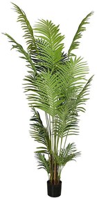 Τεχνητό Δέντρο Αρέκα 9630-6 100x100x260cm Green Supergreens Πολυαιθυλένιο