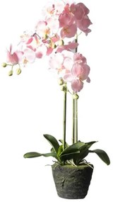 Τεχνητό Φυτό Ορχιδέα Phalaenopsis Real Touch Ροζ με Βάση Moss 85 εκ. 4170-6 Supergreens-4170-6-Ροζ 4170-6