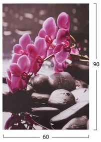 ΠΙΝΑΚΑΣ ΚΑΜΒΑΣ PINK ORCHID  60X90X2.5 εκ.