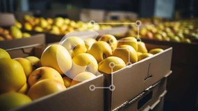 Σετ των 2 Intra Συλλεκτικό Ξύλινο Παζλ Plywood 4mm - Κουτιά από χαρτόνι με μάνγκο και διάφορα φρούτα Σε Ξύλινο Κουτί - Διαστάσεις: 10x10 cm – 25 κομμάτια