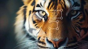 Σετ των 2 Intra Συλλεκτικό Ξύλινο Παζλ Plywood  4mm - Κοντινή ταπετσαρία Tiger's Face Σε Ξύλινο Κουτί - Διαστάσεις: 10x10 cm – 25 κομμάτια