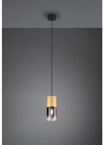 Κρεμαστό Φωτιστικό Οροφής 1xE27 Robin Trio Lighting-310600154-Μαύρο-Χρυσό 310600154