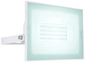 Προβολέας LED 50W IP65 Κινητός Βραχίονας Helga I Globo Lighting 34249W Λευκό