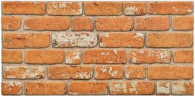 vidaXL Πάνελ τοίχου 10 pcs Τούβλο 100 x 50 cm Αφρός EPS