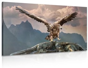 Εικόνα αετού με απλωμένα φτερά πάνω από τα βουνά - 60x40