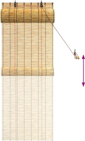 vidaXL Ρόλερ (στόρι) Φυσικό 60 x 160 εκ. Καλάμι