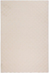 Χαλί Plexis 42321 60 Beige Βιοκαρπέτ 200X290cm