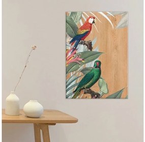 Πίνακας Διακόσμησης Red &amp; Green Parrots πίνακας ξύλου ML 21458 Ango 21458