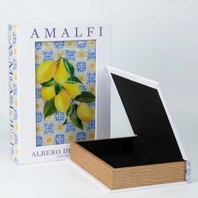 Διακοσμητικά Βιβλία/Κουτιά (Σετ 2τμχ) Estheti 819-01937