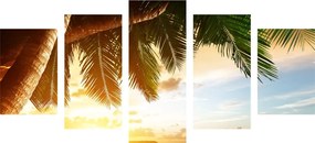 Εικόνα 5 μερών μιας ανατολής σε μια παραλία της Καραϊβικής