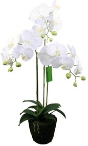 Supergreens Τεχνητό Φυτό Ορχιδέα Phalaenopsis Λευκό 80 εκ.