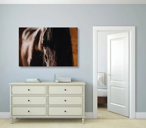 Εικόνα μεγαλοπρεπές άλογο - 120x80