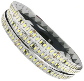 Ταινία LED Λευκή Professional Series 5m 24W/m 24V 240LED/m 3014 SMD 3360lm/m 120° IP20 Ψυχρό Λευκό 6000k GloboStar 63019