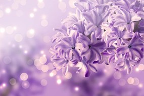 Εικόνα μωβ λιλά λουλούδι - 90x60