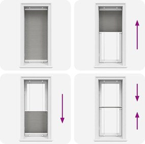 vidaXL Πλισέ περσίδα Ανθρακί 60x100 cm Πλάτος υφάσματος 59,4 cm