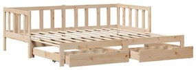 Καναπές Κρεβάτι Συρόμενος Χωρίς Στρώμα 90x190 εκ. &amp; Συρτάρια 3302193
